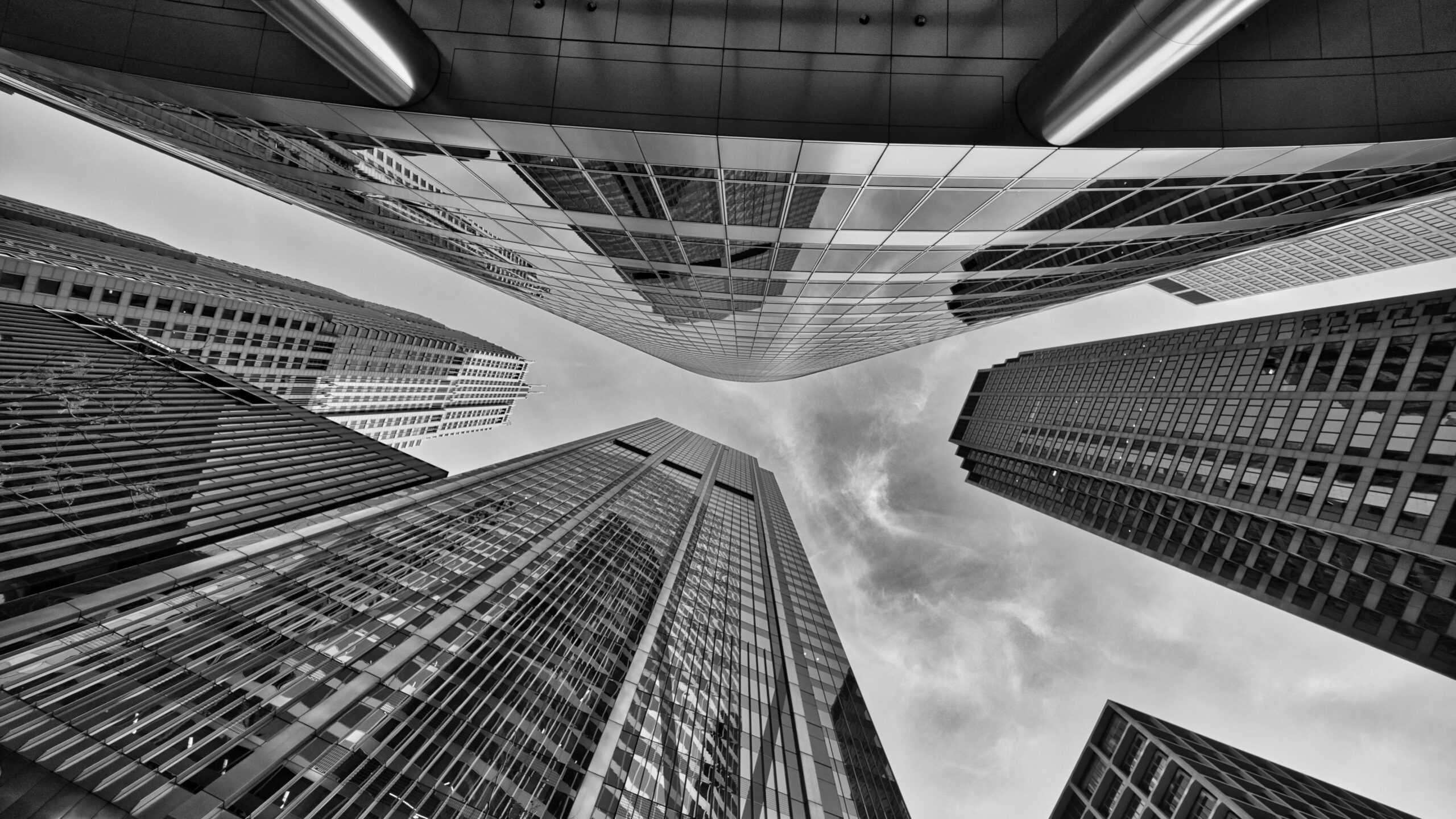 Black And White Image Of Worm’s Eye View Of Buildings Architecture K HD