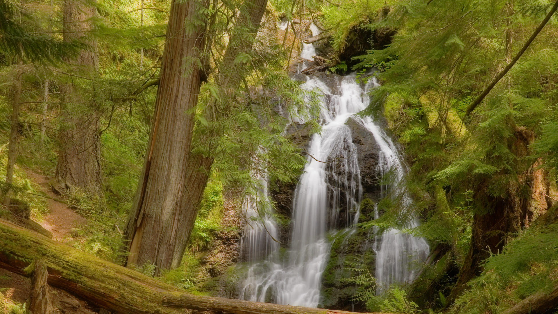 Beautiful Waterfalls On Rocks Between Green Trees Bushes HD Nature