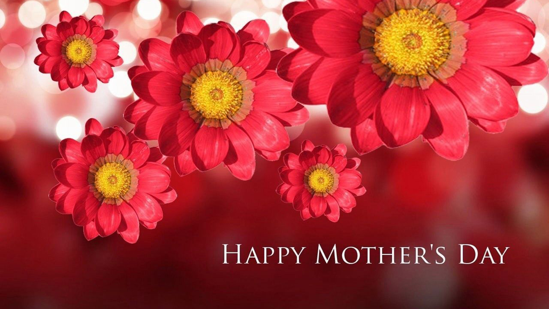 Happy Mother’s Day Word In Red Flowers Wallpaper HD Happy Mother’s Day