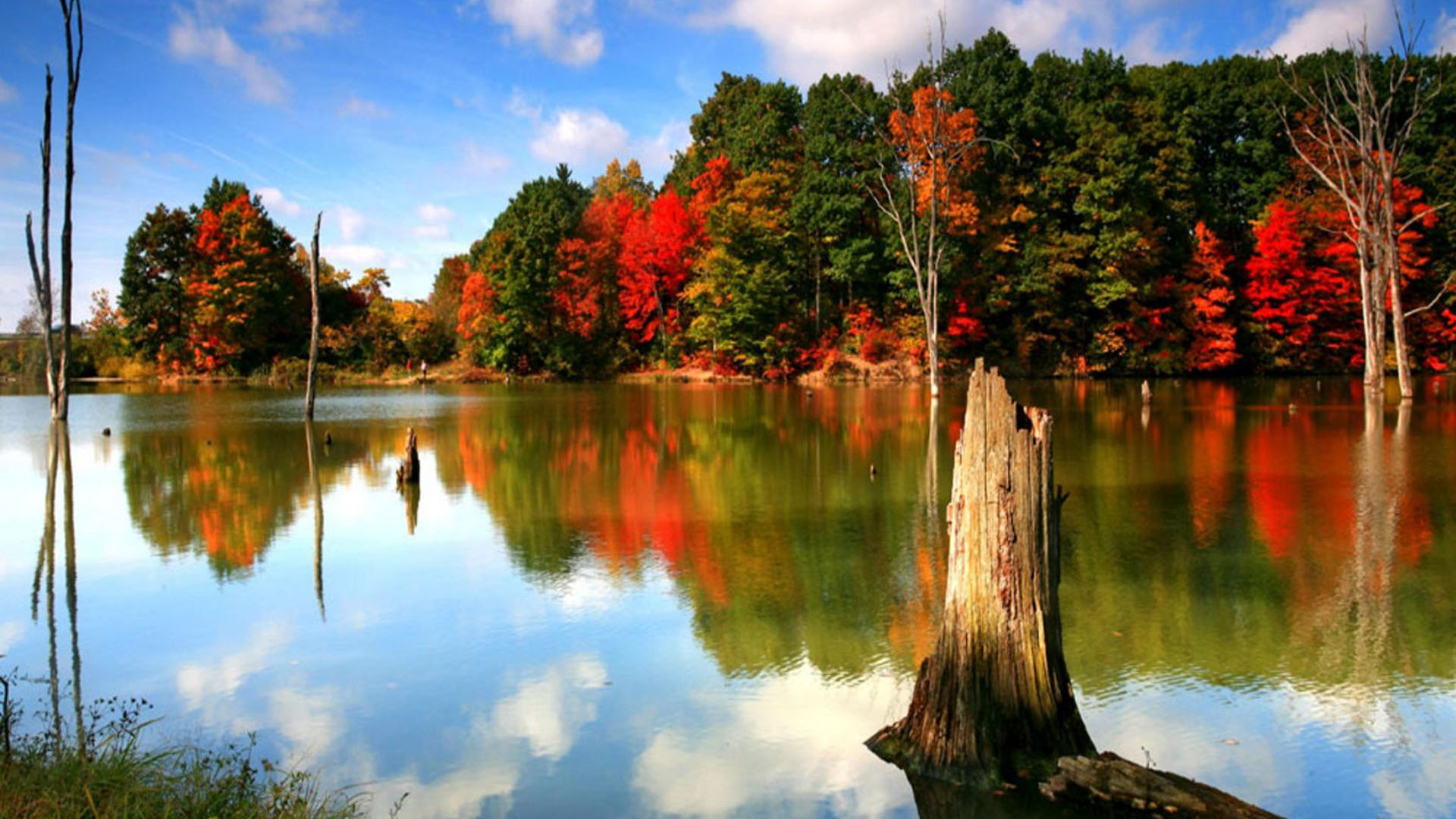 Green Red Orange Autumn Fall Trees In White Clouds Blue Sky Reflection On Water HD Autumn Desktop