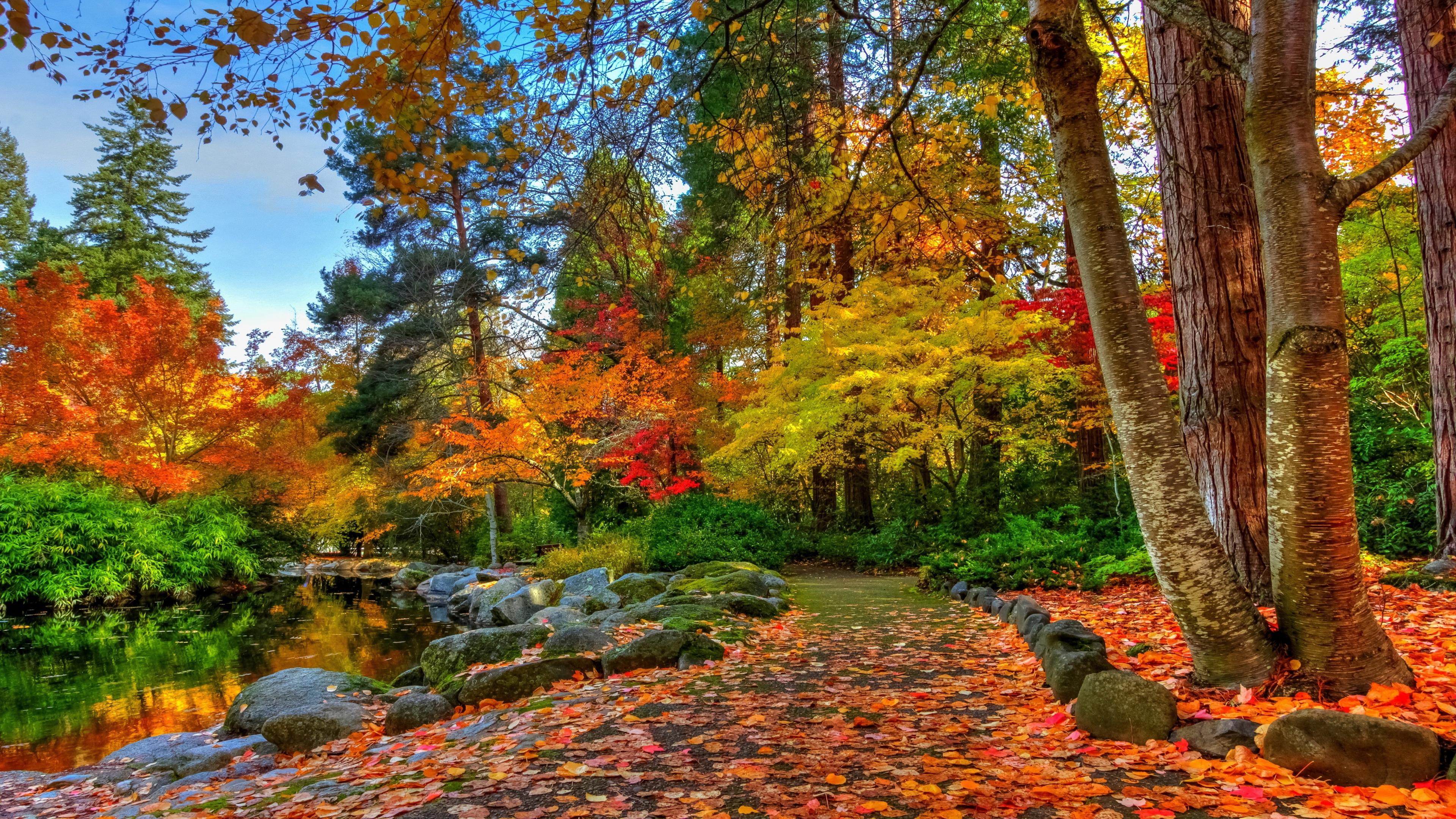 Path With Colorful Dry Leaves Between Lake And Autumn Trees In Forest K HD Nature