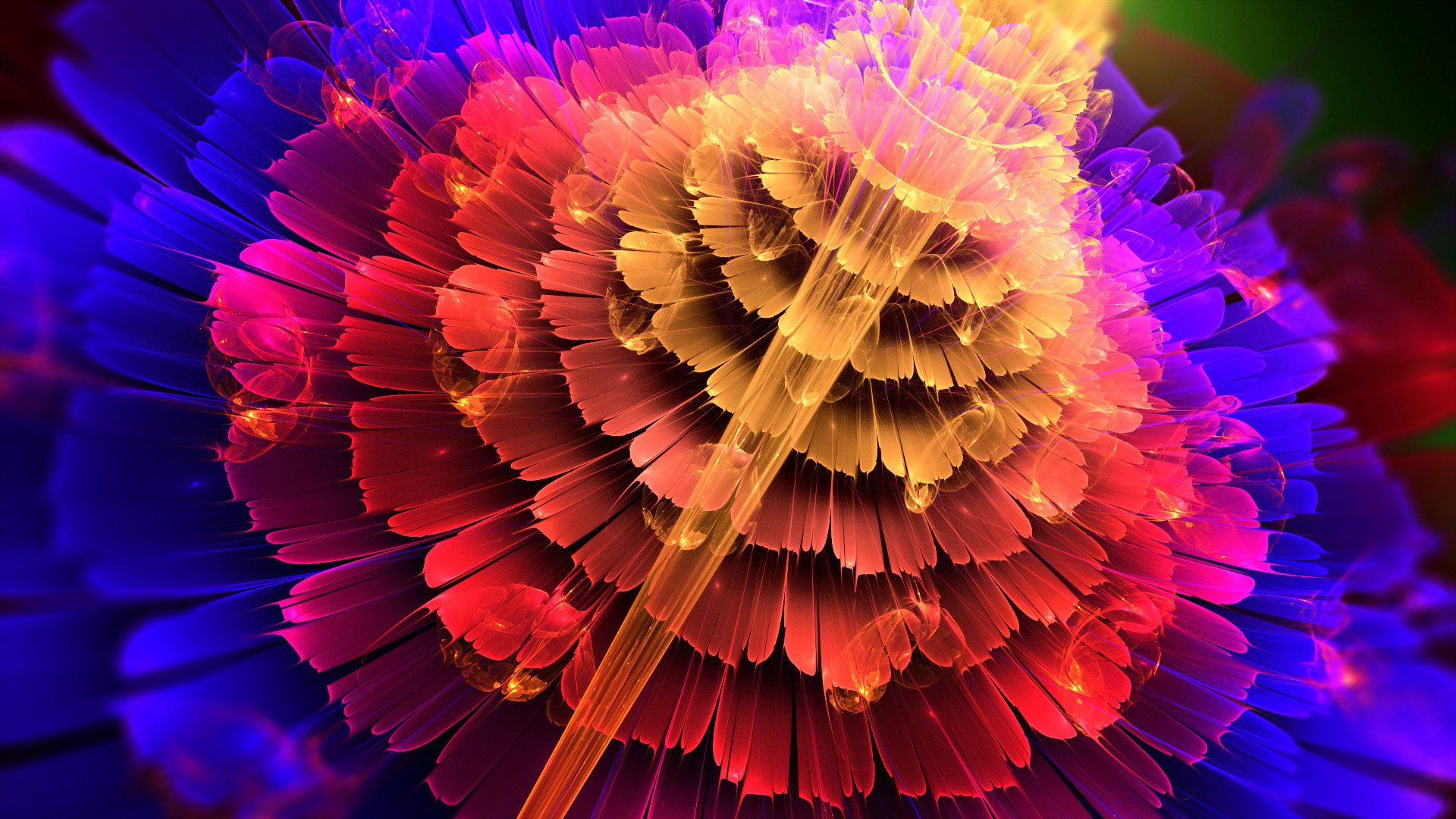 Colorful Flower Abstraction Shape HD Abstract