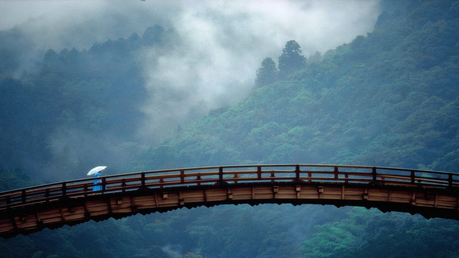 Bridge Between Trees Covered Mountains With Fog HD Japanese