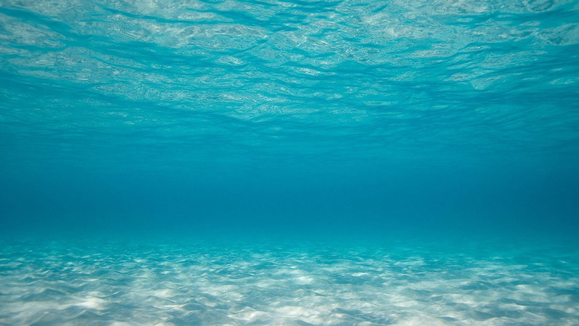 Clear Underwater Ocean Blue Wallpaper HD Nature