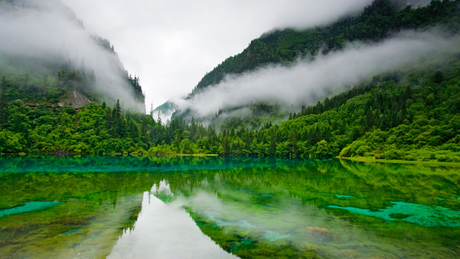 Landscape Of Fog Lagoon Forest Mountain With Reflection On River HD Nature