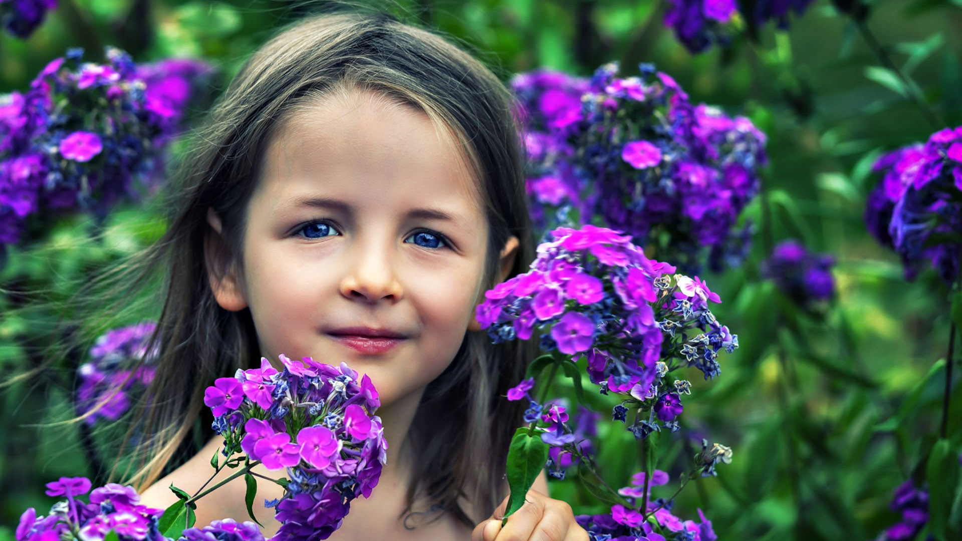 Little Girl Is Standing In The Middle Of Violet Flowers Field HD