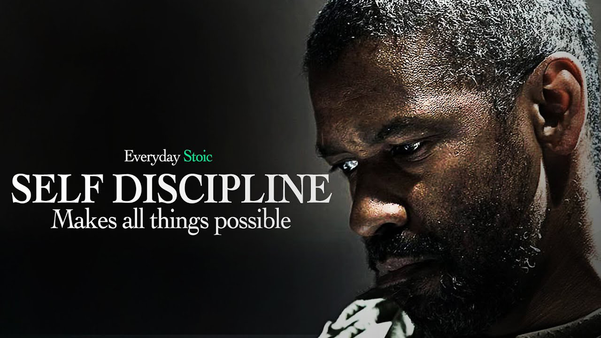 Everyday Stoic Self Discipline Makes All Things Possible HD Motivational